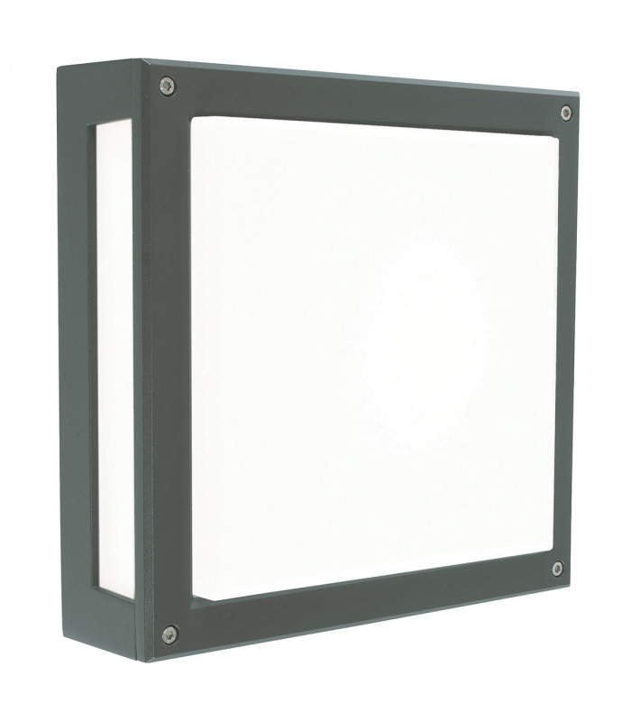 Integrated LED Outdoor Wall, Ceiling Light, Graphite, IP65