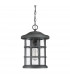 Outdoor 1 Light Chain Lantern, Earth Black, IP44, E27