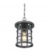 Outdoor 1 Light Chain Lantern, Earth Black, IP44, E27