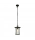 1 Light Outdoor Pendant - Black With Clear Glass