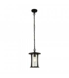 1 Light Outdoor Pendant - Black With Clear Glass