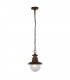 1 Light Outdoor Pendant - Rustic Brown With Clear Glass