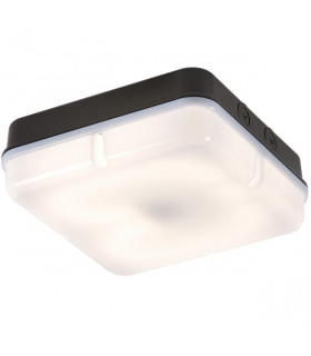 Bulkhead comes with Opal Diffuser and Black Base, IP65 28W Square