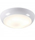 Emergency Bulkhead with Opal Diffuser and White Base, IP44 28W