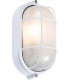 White Oval Bulkhead with Wire Guard and Glass Diffuser, 230V IP54 60W