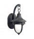 Lantern Small Wall Light Black Gold IP43