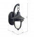 Lantern Small Wall Light Black Gold IP43