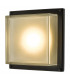 Flush Ceiling Light Wall Light Matt Black LED IP44