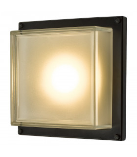 Flush Ceiling Light Wall Light Matt Black LED IP44