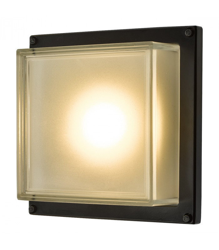 Flush Ceiling Light Wall Light Matt Black LED IP44