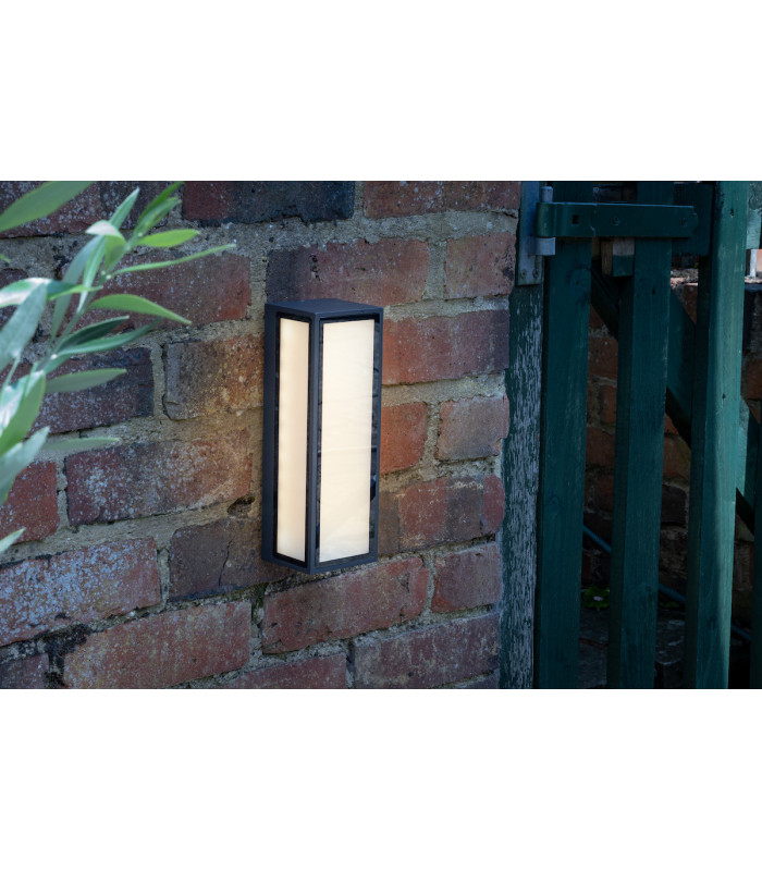 Flush Ceiling Light Wall Light Anthracite IP65 LED, 1x LED