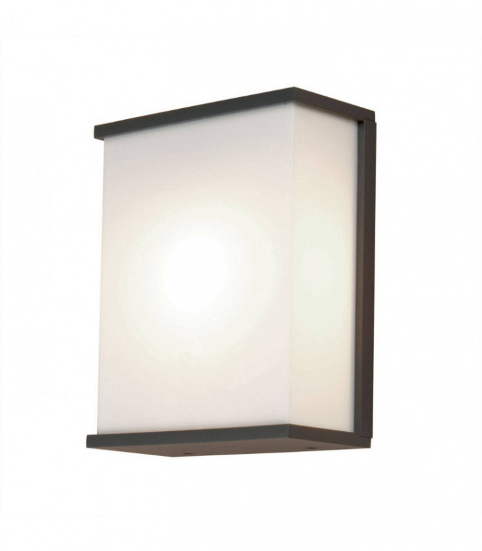 2 Light Large Wall Light - Dark Grey Finish, E27