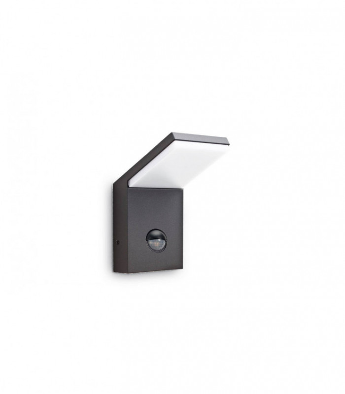 LED 1 Light Outdoor Wall Light Anthracite IP54