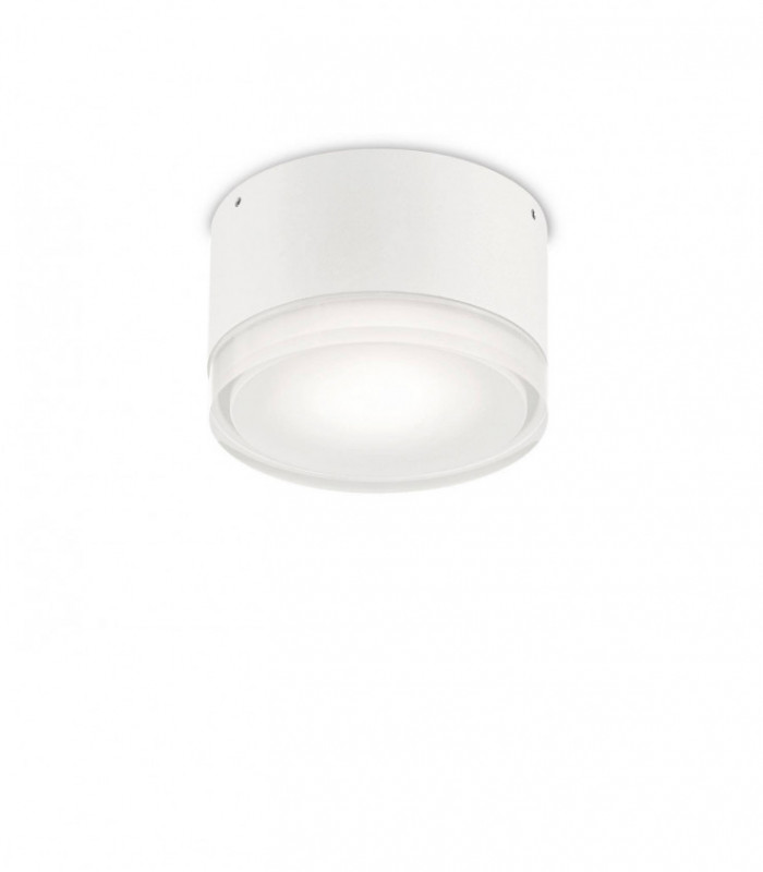 1 Light Flush Ceiling Light White