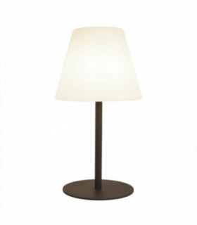 1 Light Outdoor Lamp Dark Grey, White Shade IP44, E27