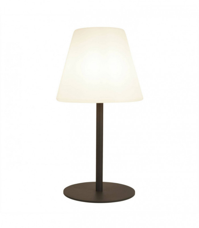1 Light Outdoor Lamp Dark Grey, White Shade IP44, E27