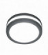 1 Light Outdoor Wall / Ceiling Lantern Light Graphite IP54