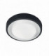 LED 1 Light Indoor Wall / Ceiling Lantern Light Graphite IP54