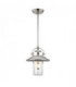 1 Light Outdoor Pendant Painted Brushed Steel IP44