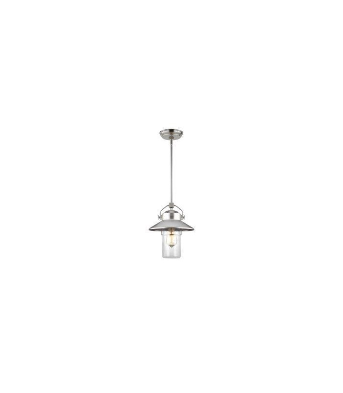 1 Light Outdoor Pendant Painted Brushed Steel IP44