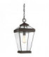 1 Light Large Outdoor Chain Lantern Western Bronze