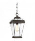 1 Light Medium Outdoor Chain Lantern Western Bronze