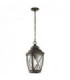 1 Light Outdoor Medium Chain Lantern Olde Bronze