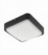 LED Outdoor Flush Wall / Ceiling Light Black IP44