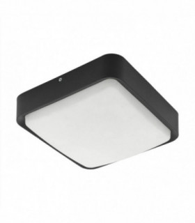 LED Outdoor Flush Wall / Ceiling Light Black IP44