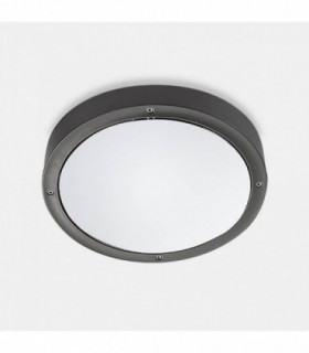 Outdoor LED Round Flush Ceiling Light Basic Aluminium Grey 26cm 1488lm 4000K IP65