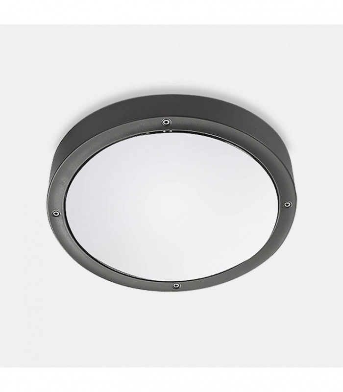Outdoor LED Round Flush Ceiling Light Basic Aluminium Grey 26cm 1488lm 4000K IP65