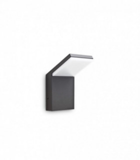 Integrated LED Outdoor Wall Lamp 1 Light Anthracite 3000K IP54