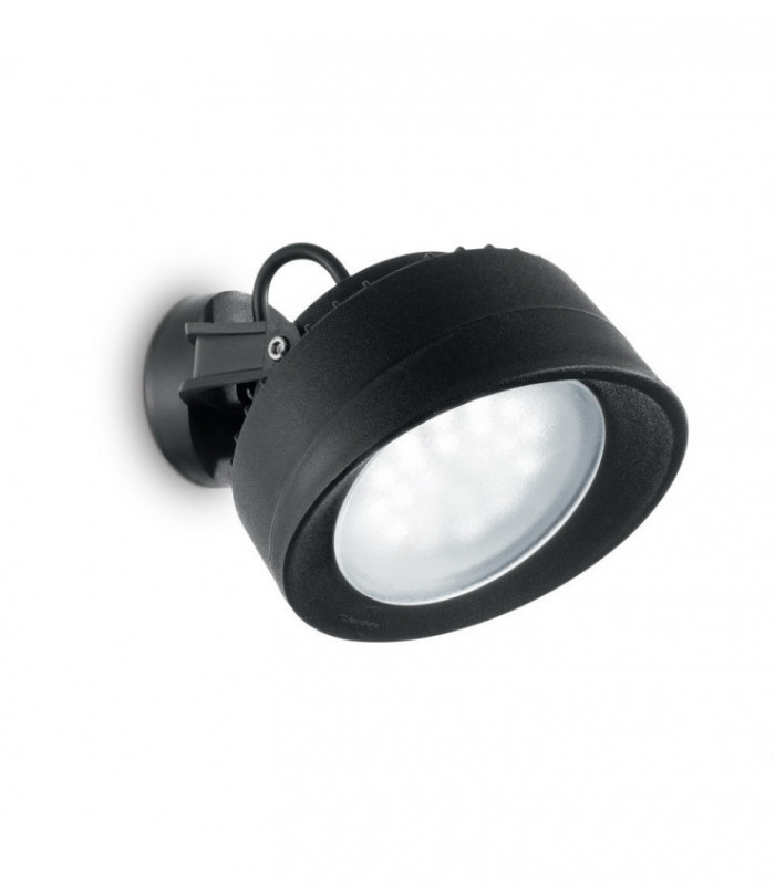 Outdoor Wall Lamp 1 Light Black IP66
