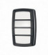 Wall / Ceiling 2 Light Lantern Graphite IP54