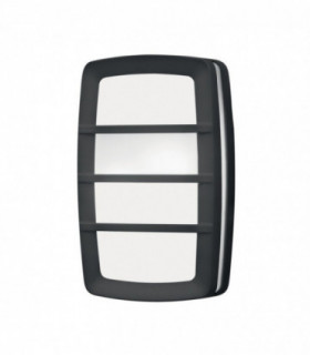 Wall / Ceiling 2 Light Lantern Graphite IP54