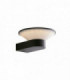Outdoor LED Dimmable Rgb Wall Light + Cct With Smart Wi-Fi, Compatible With Devices Voice Control, Anthracite, IP54