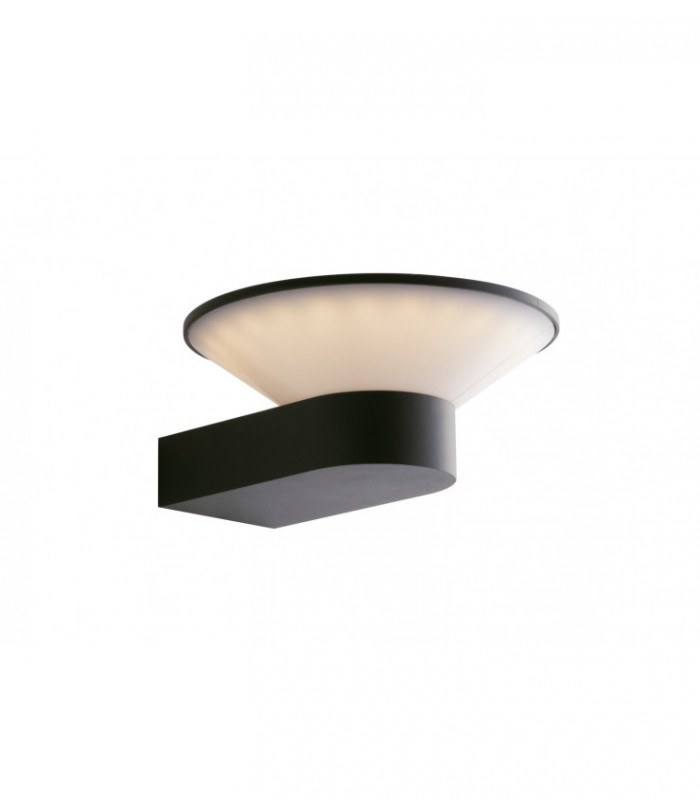 Outdoor LED Dimmable Rgb Wall Light + Cct With Smart Wi-Fi, Compatible With Devices Voice Control, Anthracite, IP54