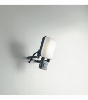 Outdoor LED Pir Flood Lamp, Anthracite, IP44