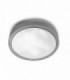 2 Light Medium Outdoor Ceiling Light Grey IP65, E27