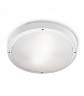 2 Light Outdoor Ceiling Light White, Opal with Sensor IP65, E27