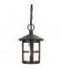 1 Light Outdoor Ceiling Lantern Black IP43, E27