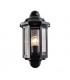 Outdoor Wall Lantern Satin Black Paint, Clear Polycarbonate IP44, E27