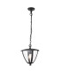 1 Light Outdoor Ceiling Lantern Pendant Light Clear Polycarbonate, Textured Grey Paint IP44, E27