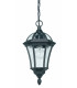 1 Light Outdoor Ceiling Lantern Pendant Light Black IP44, E27