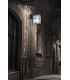 1 Light Outdoor Wall Lantern Rusty brown IP65, E27