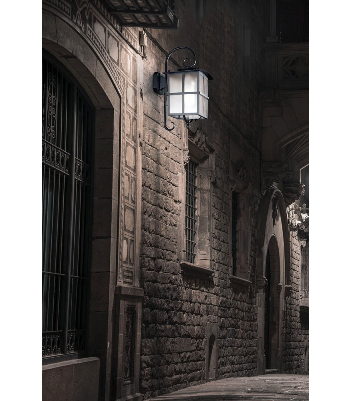 1 Light Outdoor Wall Lantern Rusty brown IP65, E27