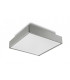 2 Light Small Outdoor Ceiling Light Grey IP65, E27