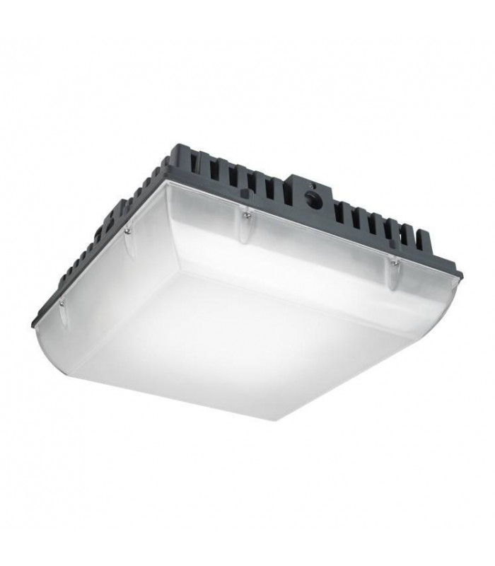 LED Outdoor Ceiling Light Black IP65