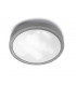 2 Light Large Outdoor Ceiling Light Grey IP65, E27