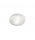 2 Light Outdoor Ceiling Light White, Opal IP65, E27